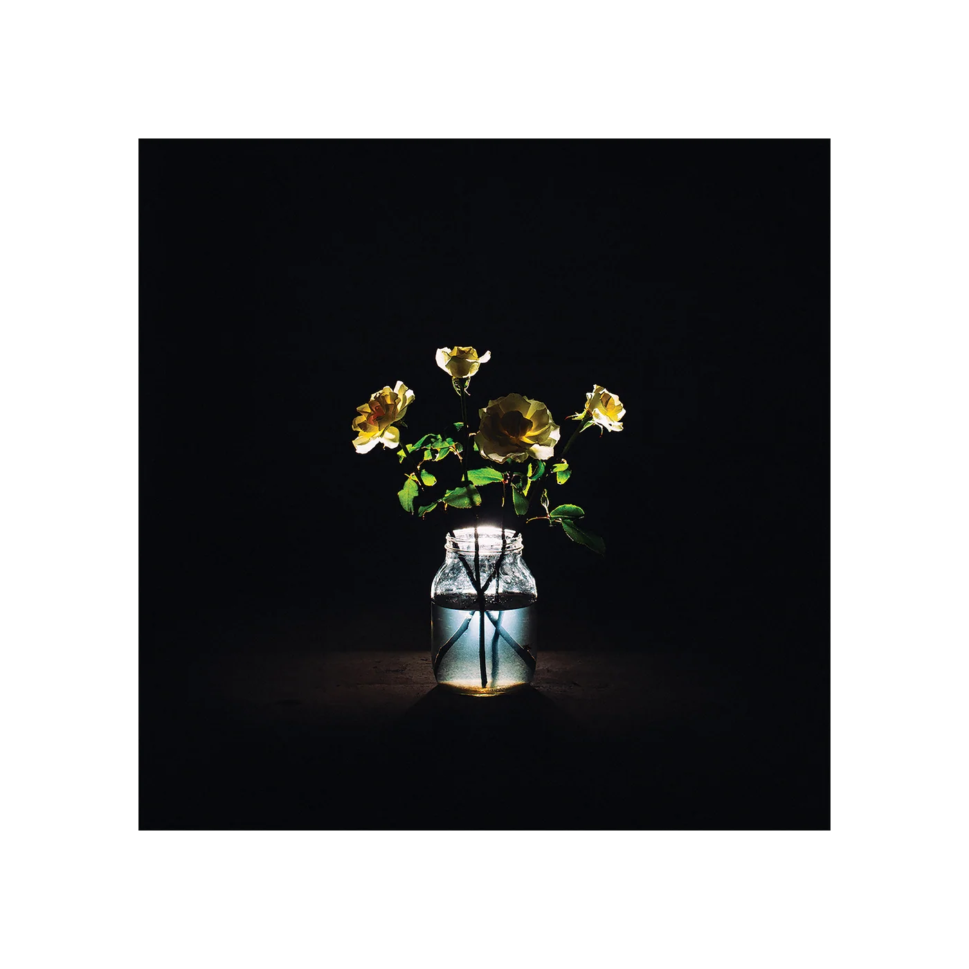 "Renewal" Album Download