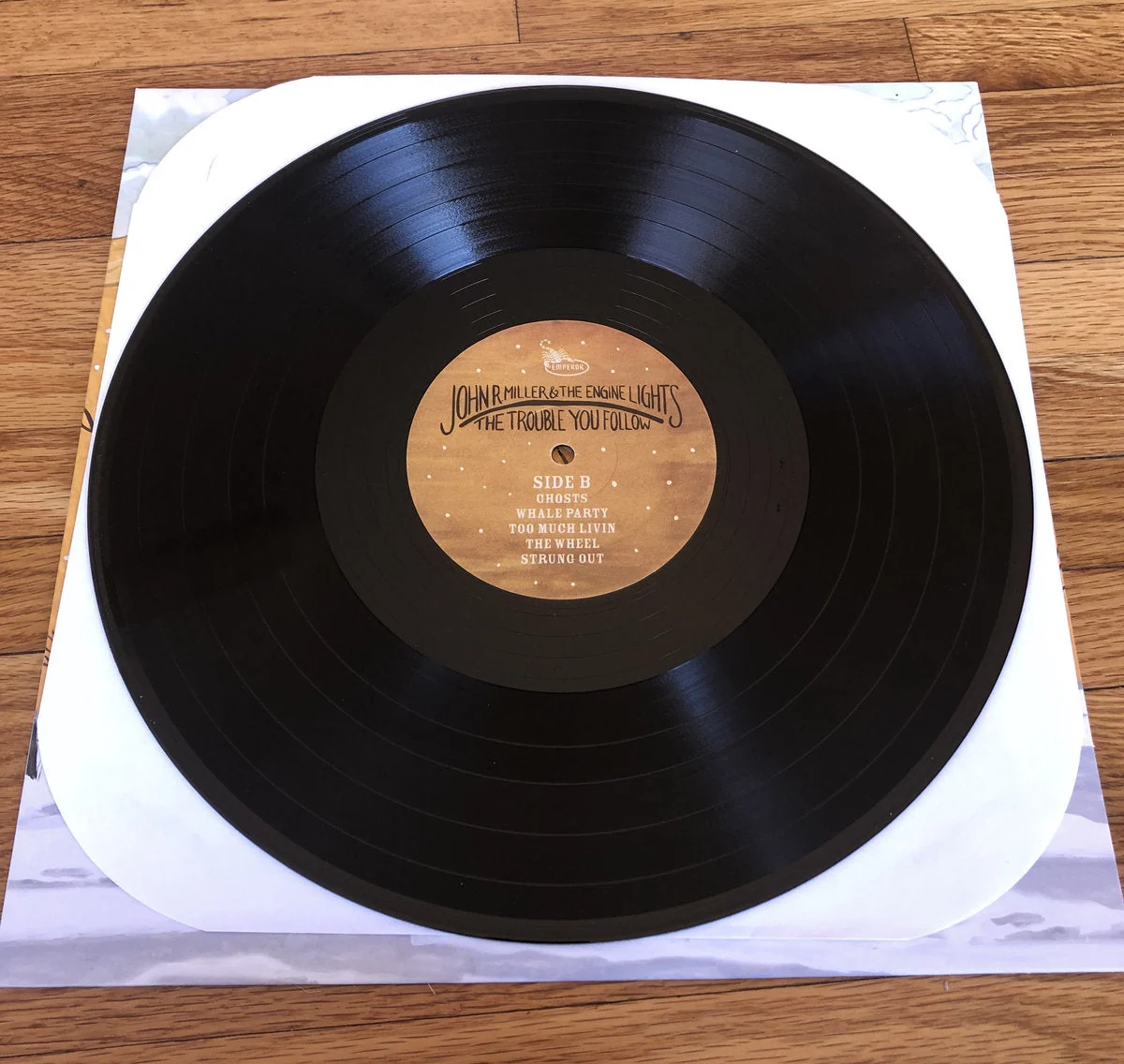 Trouble You Follow - Black Vinyl - Image 4